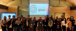 CROSSBRAIN_Team